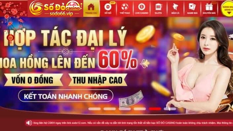 Hoa hồng nhận được khi làm đại lý tại nhà cái